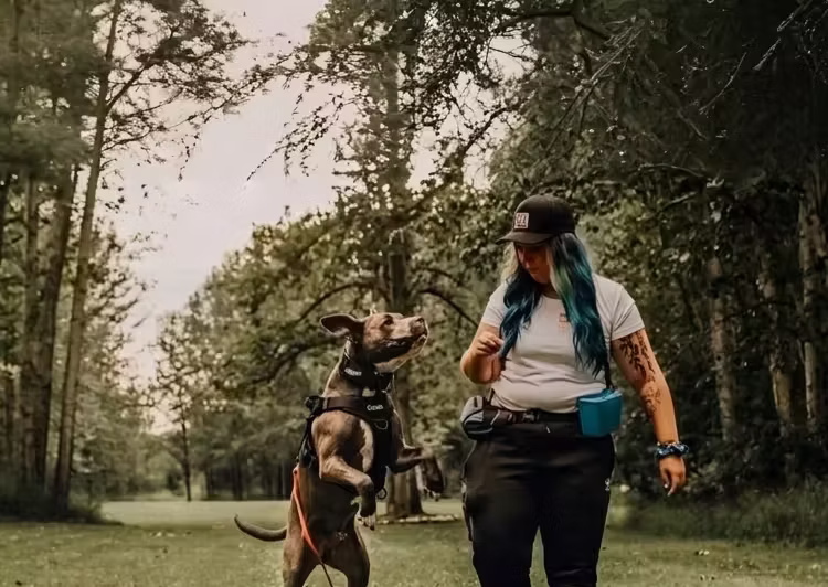 Dog trainer in Grande Prairie